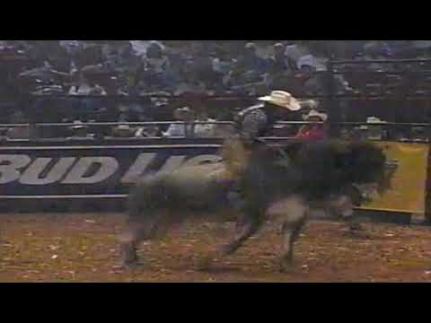 Blue Heat bucks Brian Herman - 97 PBR Birmingham