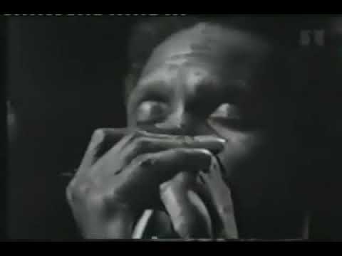 Big Walter  Shakey  Horton   That Ain't It