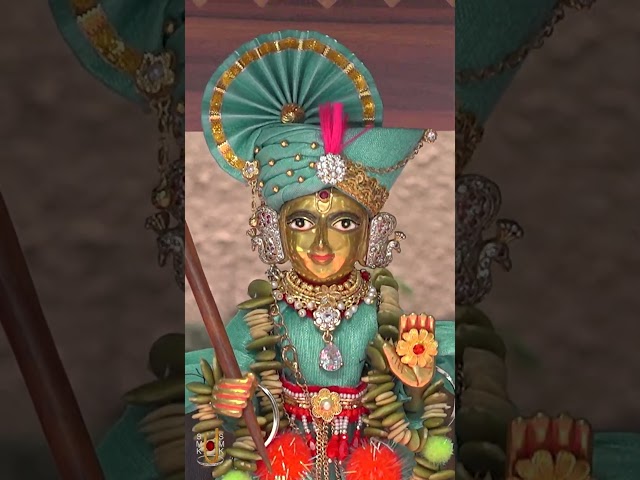 હરિકૃષ્ણ મહારાજ