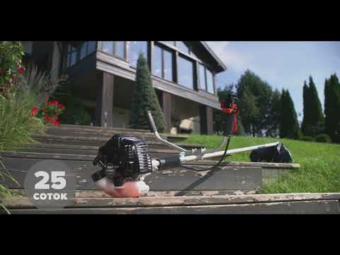 Миниатюра изображения товара Триммер бензиновый Caiman WX21 Promo