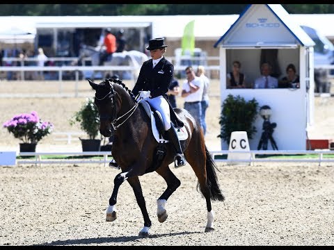 2.Finalqualifikation NÜRNBERGER BURG-POKAL 2018 – Maimarktturnier Mannheim