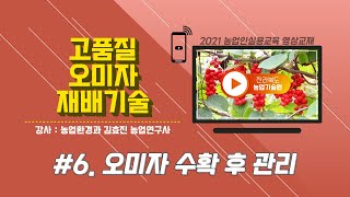 [ 고품질 오미자 재배기술 ] part6. 오미자 수확 후 관리