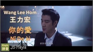 Wang Lee Hom 王力宏 - Ni De Ai 你的愛 Your Love (Pinyin+English Lyrics)