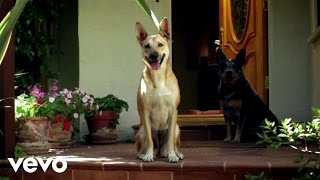 Delorean - Real Love