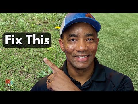 How to FIX your UGLY LAWN in 4 Easy Steps