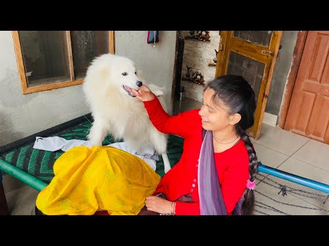 Urmila Rone Lagi 🥹