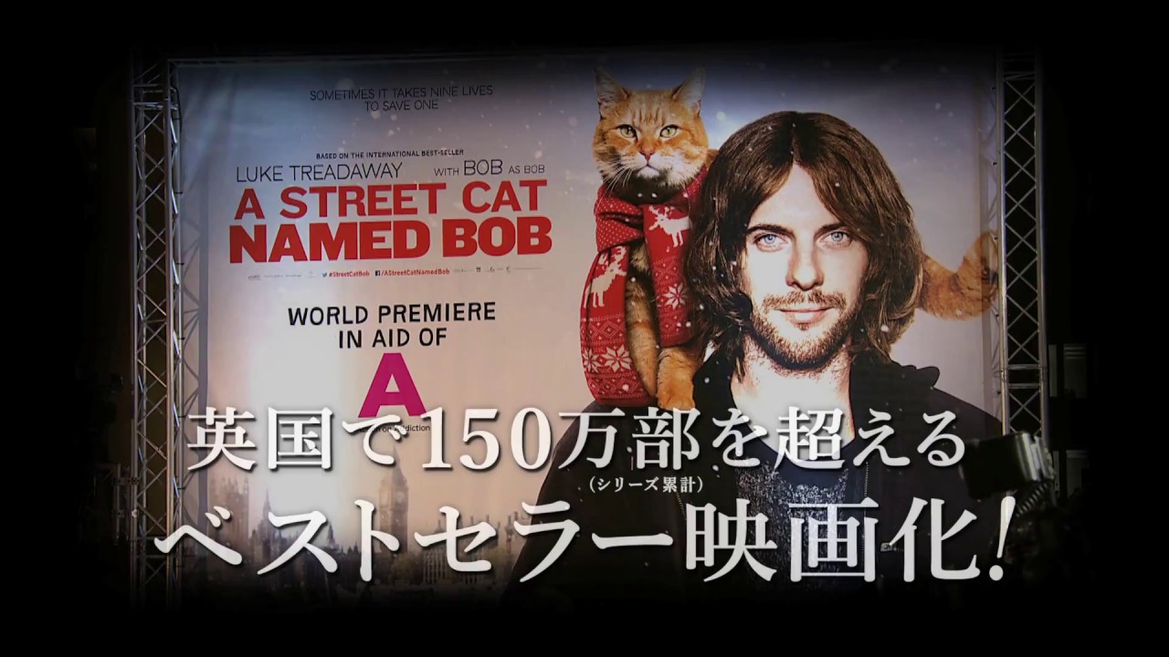 8/26公開！映画『ボブという名の猫　幸せのハイタッチ』予告編（60秒） thumnail