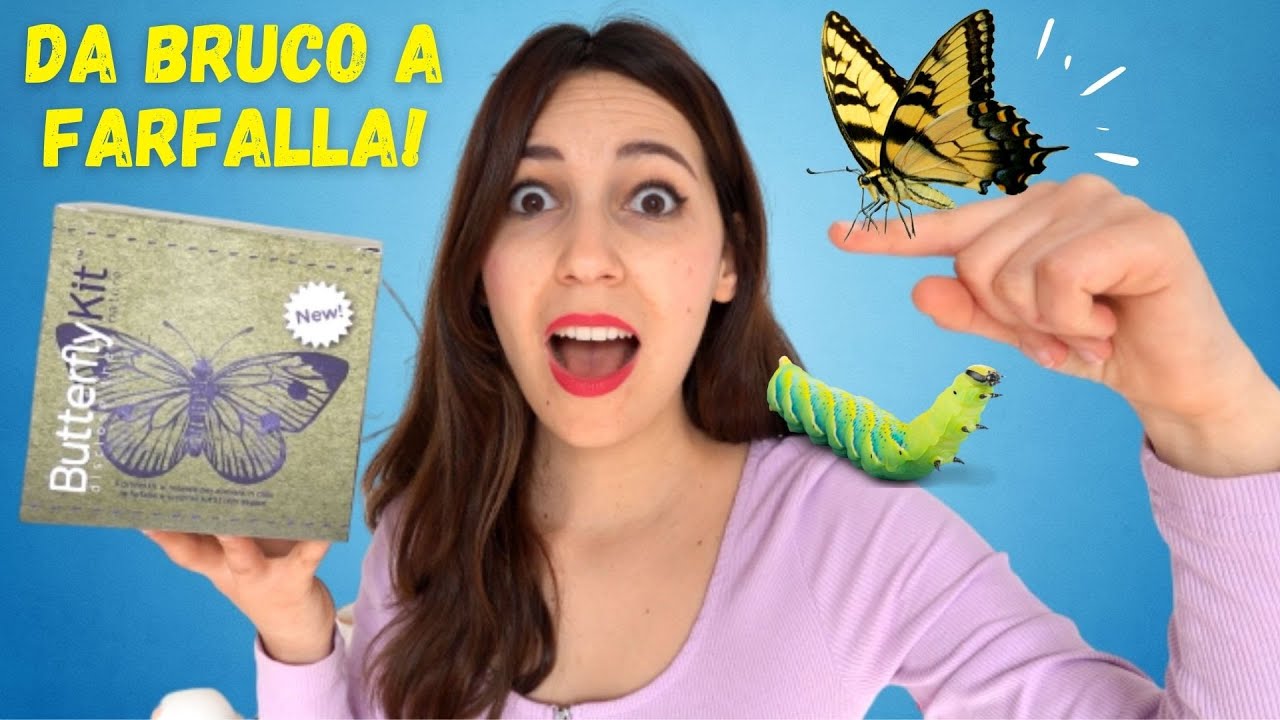 FACCIO NASCERE LE FARFALLE! Da bruchi a farfalle con butterfly kit