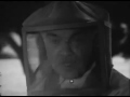 The Greens ~ Beekeeper (take 2)