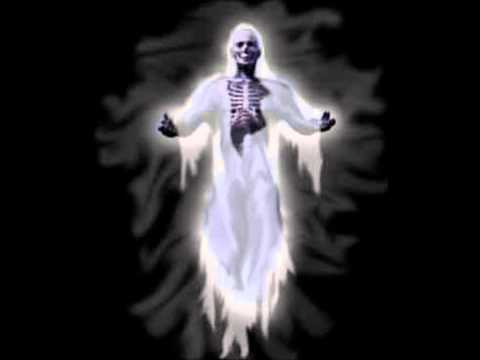 L-SHOT- ik voel me zo tof