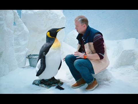 Ёлки 5 (2016) Трейлер HD