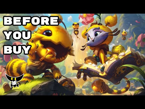 Before You Buy Yuubee
