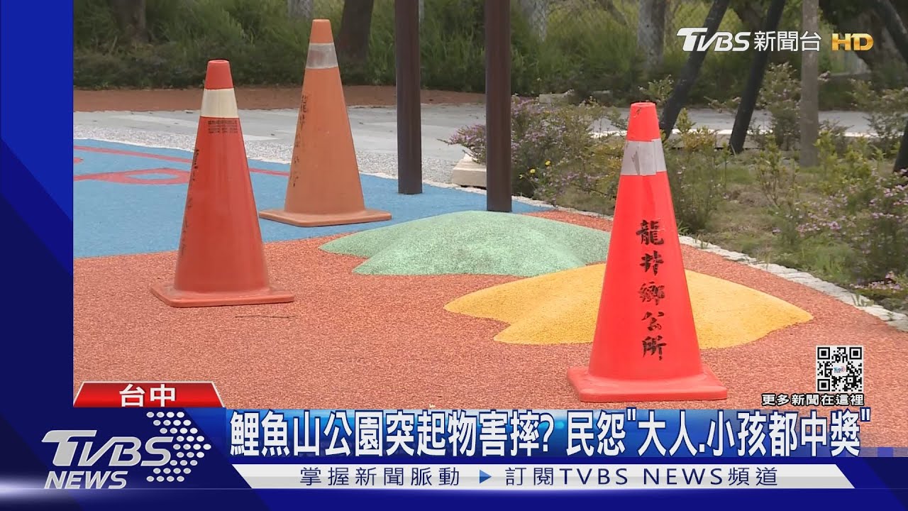 鯉魚山公園突起物害摔？民怨「大人、小孩都中獎」