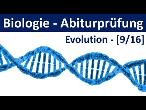 Biologie Abiturprüfung - Evolution - Tipps und Aufgabentypen [Abitur Biologie, 9/16]