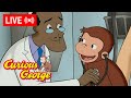 LIVE Curious George Full Episodes George At The Dentist And Doctor MORE
