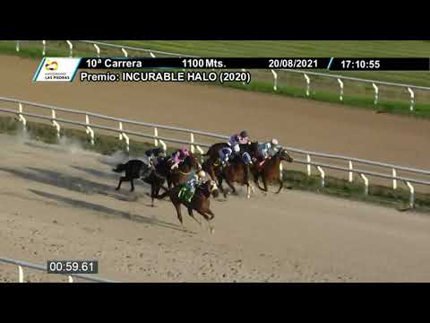 210820 c10 - ACTOR - HIPODROMO LAS PIEDRAS