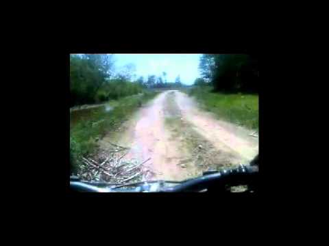 Biking Valea Cosustei --