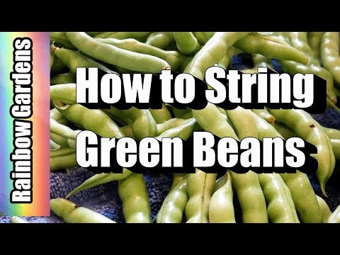 How to String / Trim Green Beans - Quick Tip!