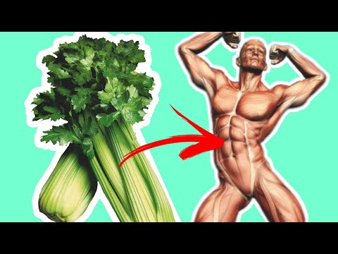 , title : 'Eating Celery Every Day For A Week Will Do This To Your Body'