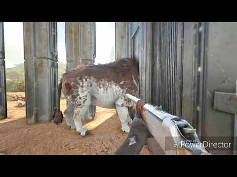 How to instantly tame a daeodon (Full food drain instantly)