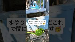 水の節約術