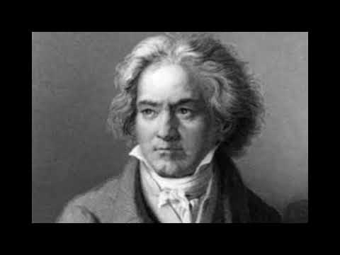 Beethoven Piano Sonata Pathetique, Grave, Jules Franklin Flute
