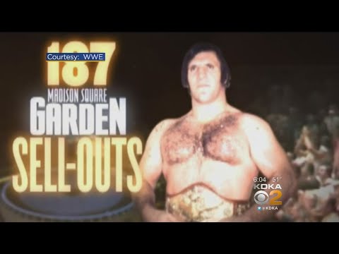 Pittsburghers Remember Bruno Sammartino