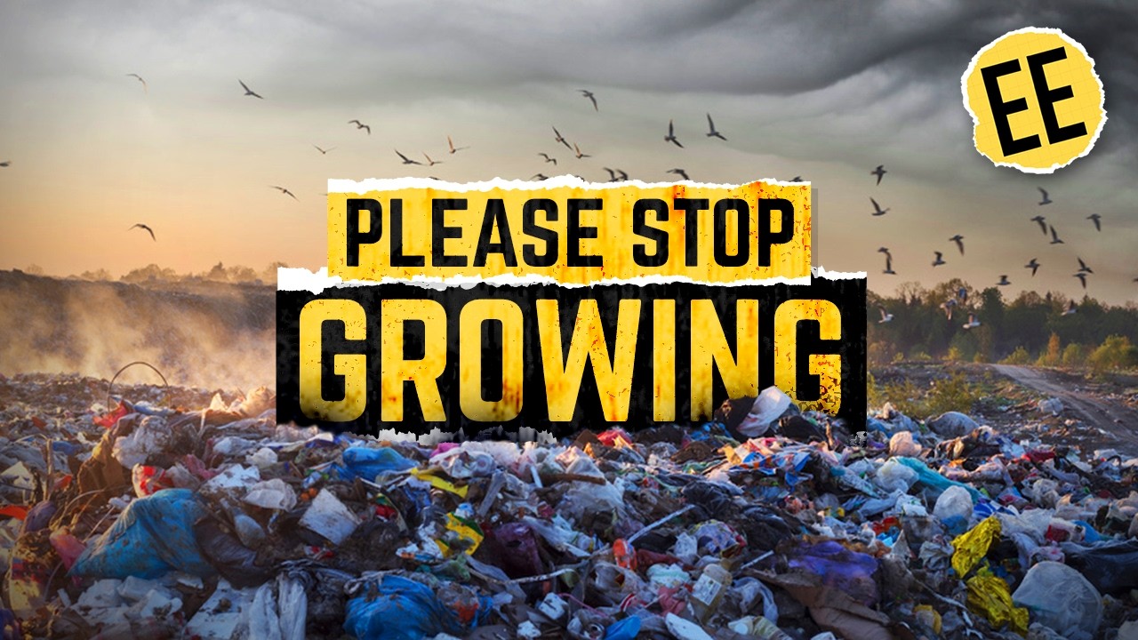 The Degrowth Paradox