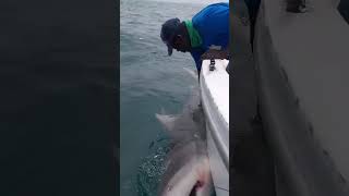 Hôtel Kasa Afrikana