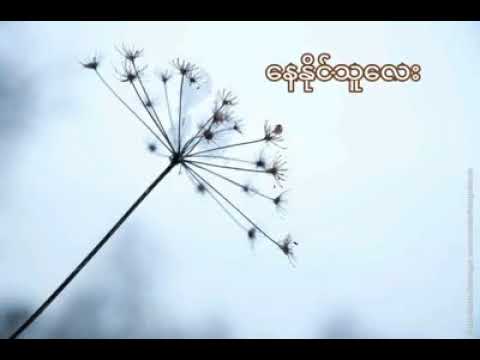 စိုးလွင်လွင် - နေနိုင်သူလေး