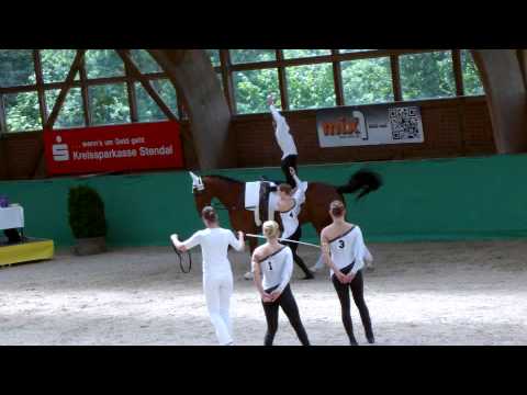 Wehdem Oppendorf Junior 1 auf der DJM 2015 in Krumke