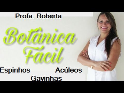 Botânica fácil. Adaptações do caule. Espinho, acúleo, gavinhas.