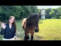 Study Abroad At SFA Netherlands 2025