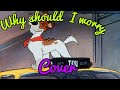Why Should I Worry Cover