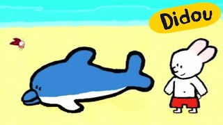 Didou, dessine-moi un dauphin
