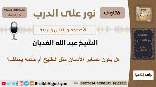 هل يكون تصغير الأسنان مثل التفليج أم حكمه يختلف؟ الشيخ الغديان - مشروع كبار العلماء image