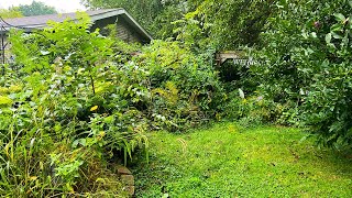 Elderly Couple STUNNED by what I found buried in their Overgrown Garden