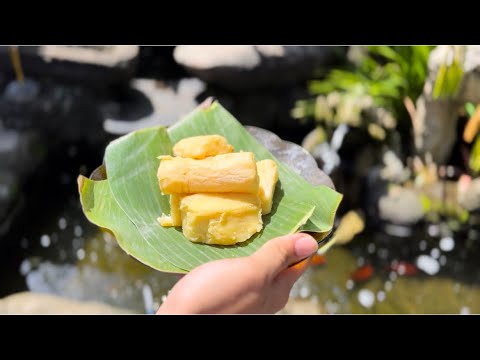 Bioteknologi konvensional-pembuatan tapai singkong