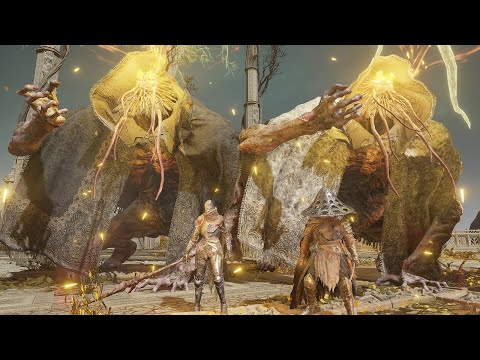 Madness Team Vs Bosses - Elden Ring