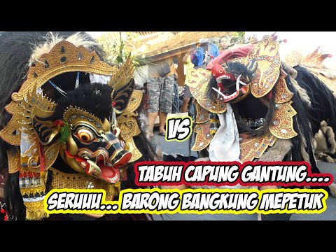 CAPUNG GANTUNG VIRAL KEMBALI LAGI - NGELAWANG GALUNGAN 2021  - BARONG SWARA VS BABAKAN CANGGU