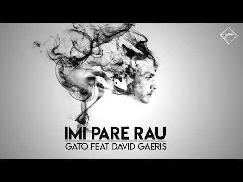 David Gaeris & Gato – Imi pare rau Video