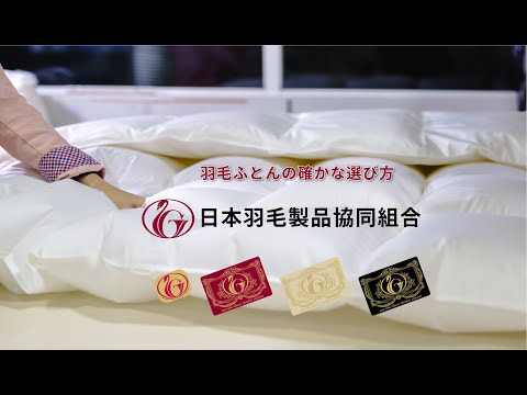 羽毛のスパー 植物