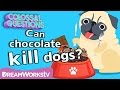Will Chocolate Kill Your Dog COLOSSAL QUESTIONS