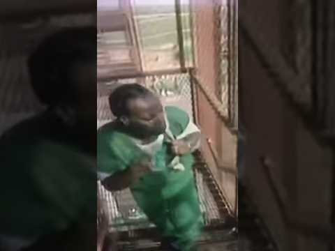 Fleece Johnson in his prime p2