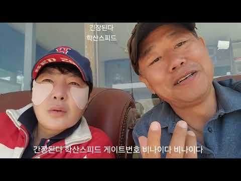 긴장된다 학산스피드 게이트번호 비나이다