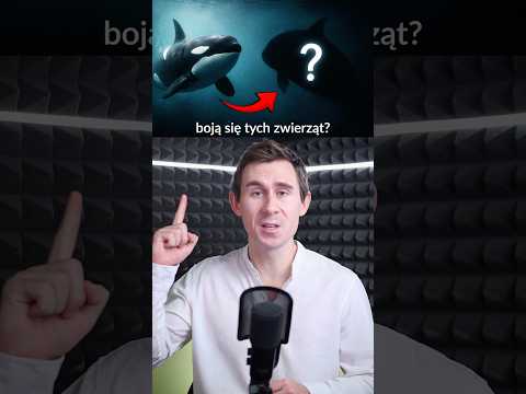 Orki boją się tych zwierząt