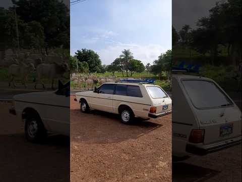 Esperando á boiada passar, com á Belina, em Passagem Franca-MA. #viagem #boi #belina #maranhão  #4x4