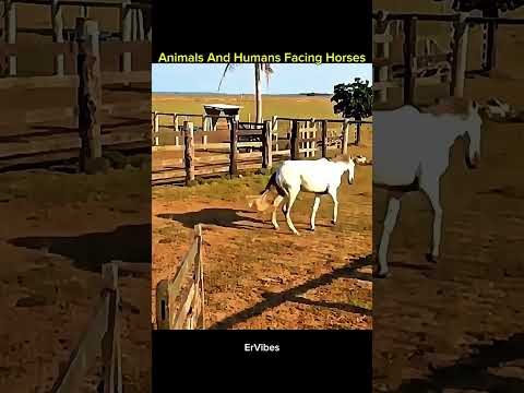 Horses Befriend This One Animal... It's a RABBIT! 🐴🐰❤️