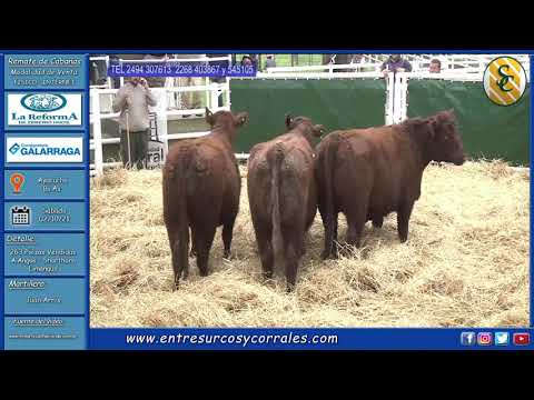 02-10-21 - Remate de Cabaña La Reforma de Zeberio Hnos. - Consignataria Galarraga - Ayacucho, Bs.As.