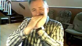 Harmonica Ti-Paul  The Mavericks Just A Memory